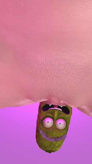 Pickle Rick Pickled That Ham