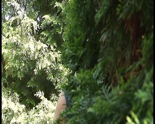 Superb German Babe Rides Dick in the Backyard