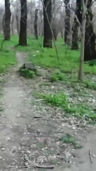 My Slutty Stepsister Gets Risky Blowjob and Sex Outdoor