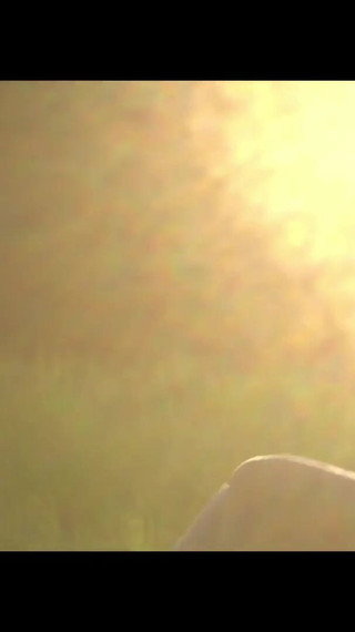 Hit me with your best shot lobo and luna ruiz