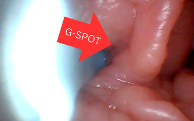 First Time: an Endoscope Reveals the G-spot up Close - Without Mounting!