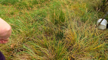 Lean on the Ladder and I'll Beat Your Tits