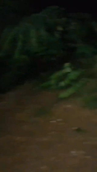 On My Kness Outdoor Risky Blowjob Gagging on BBC