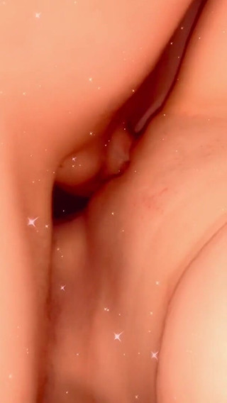 Delaware's Finest Adult Entertainers